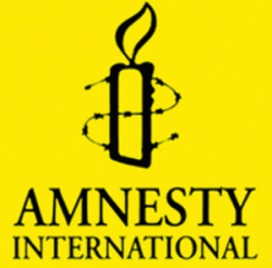 amnesty-international-300x295-250x246