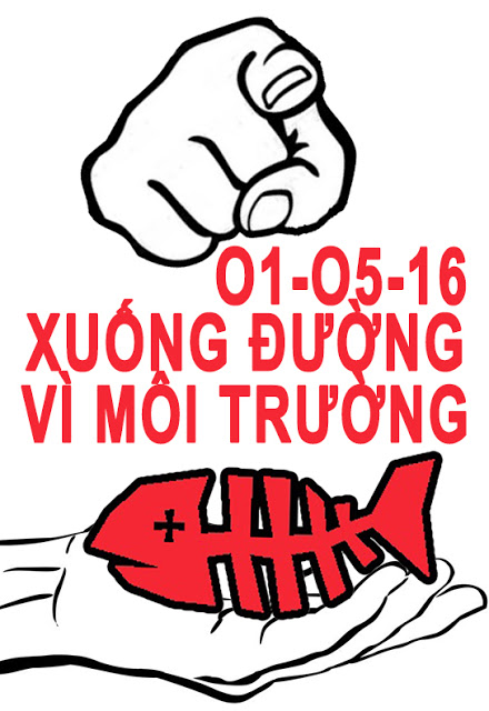 Formosa Vung Ang (20)