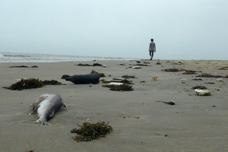 This picture taken on April 20, 2016 shows a man walking among dead fish lying on a beach in Quang Trach district in the central coastal province of Quang Binh. Taiwanese conglomerate Formosa was under attack in Vietnam’s normally staid state-media on April 25 over allegations of industrial pollution leaching from a multi-billion dollar steel mill that may have caused mysterious mass fish deaths. (AFP / STR /Getty Images)