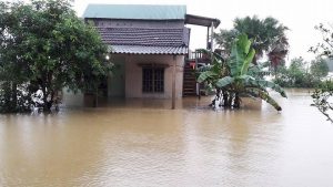 Ảnh: Dân Việt